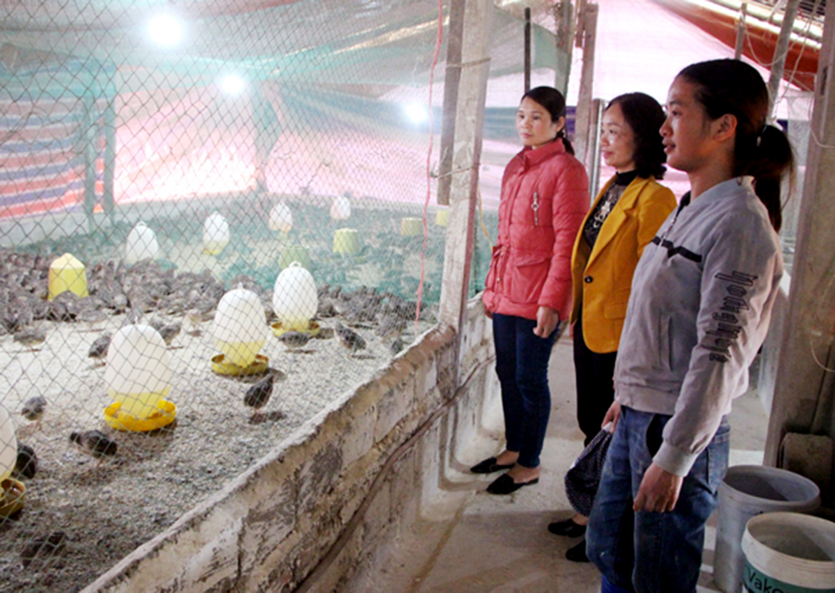 Đồng bào vùng biên Vị Xuyên đoàn kết phát triển kinh tế (Bài cuối): Phụ nữ tự tin khởi nghiệp
