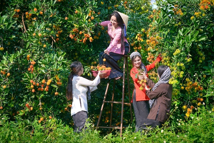 Nông thôn mới mang tới sức sống mới cho Long Khánh