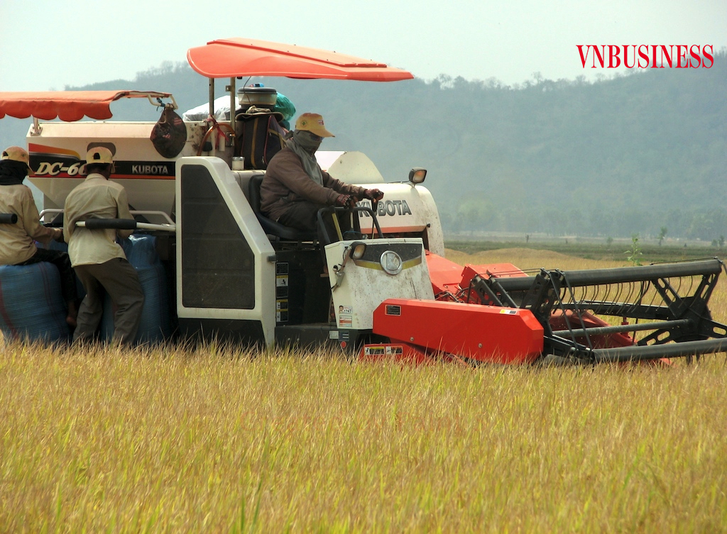 Bơm vốn rẻ giúp doanh nghiệp ‘cứu’ ngành hàng nông sản