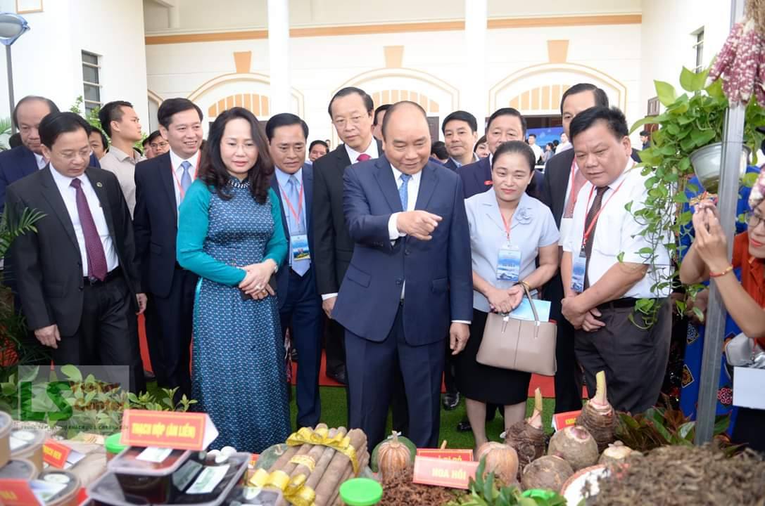 Phát triển kinh tế HTX ở 'vùng biên' Tràng Định (Bài 1): Điểm sáng về tiêu thụ nông sản