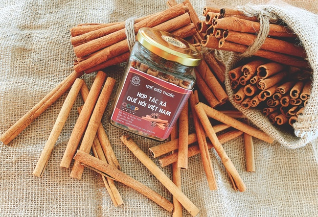 Sức bật xây dựng nông thôn mới ở Trấn Yên