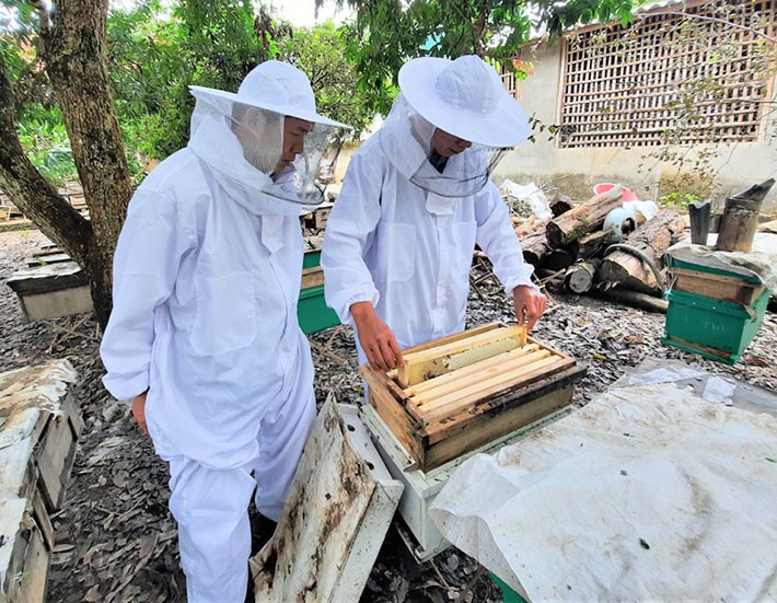 OCOP khơi dậy tiềm năng huyện biên giới Điện Biên (Bài 2): Đưa hương vị mật ong bay xa