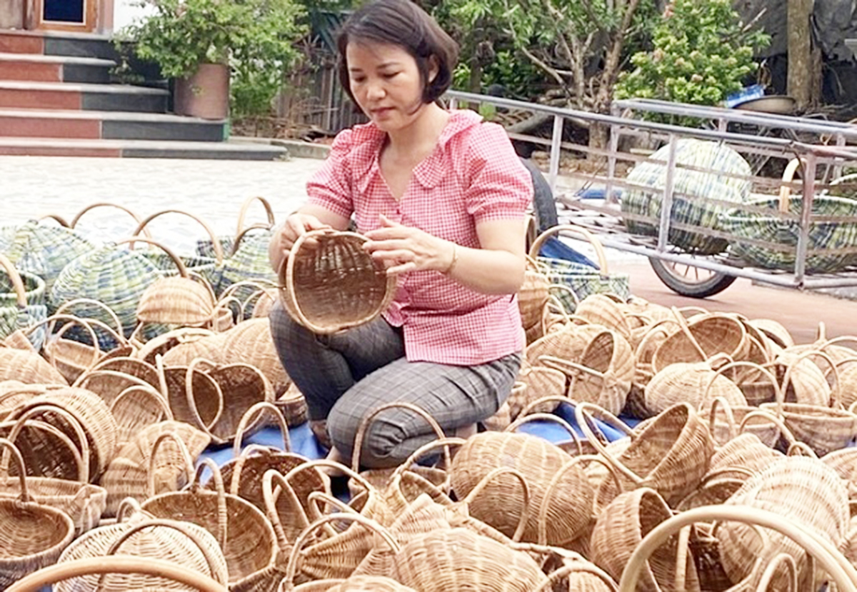 Kinh tế hợp tác tiên phong trong dạy nghề nông thôn ở huyện Kiến Xương