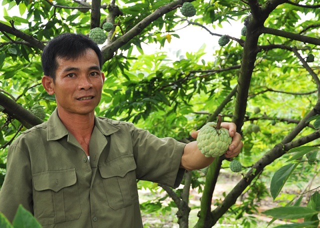Đông Triều chú trọng đào tạo nghề cho lao động nông thôn