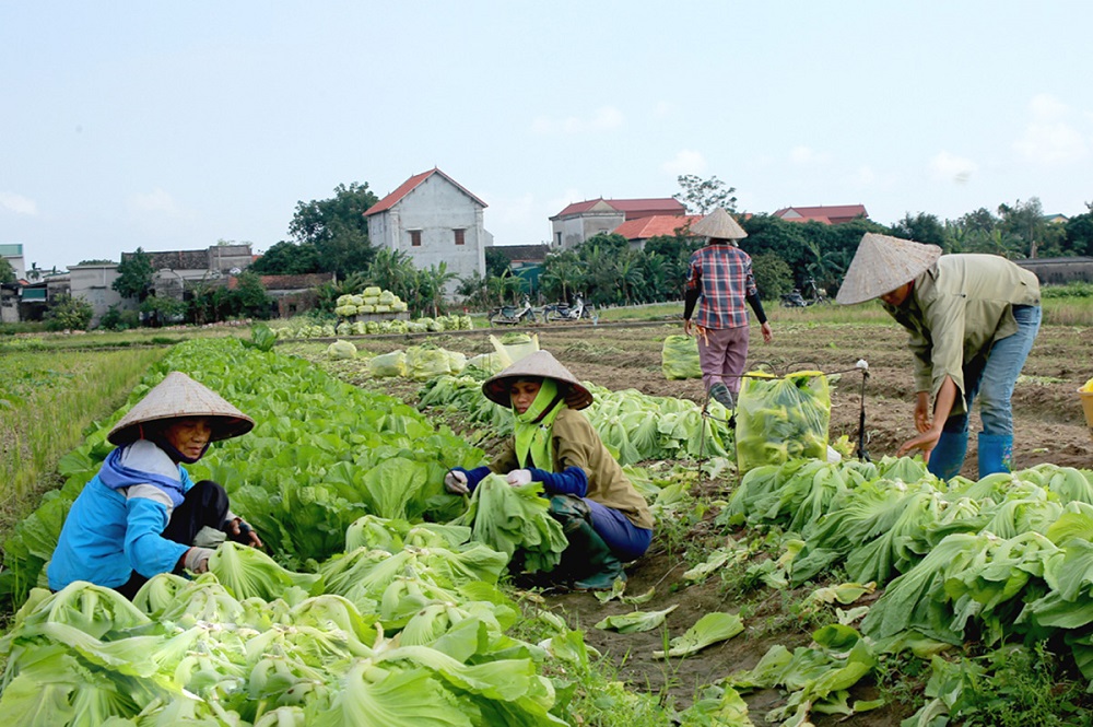 Huyện thuần nông Yên Mô chạm đích nông thôn mới