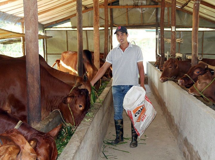 Kinh tế HTX góp phần xây dựng nông thôn mới ở Dồm Cang