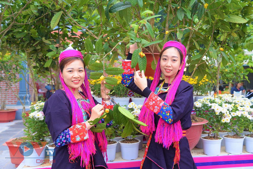 Đồng bào dân tộc thiểu số ở Quảng Ninh bứt phá đi lên (Bài 2): Chú trọng xây dựng mối liên kết