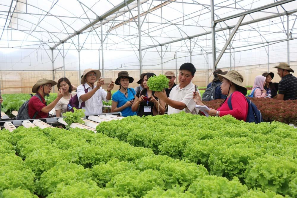 Triển khai tổng kết 20 năm đổi mới, phát triển kinh tế tập thể một cách khẩn trương, nghiêm túc