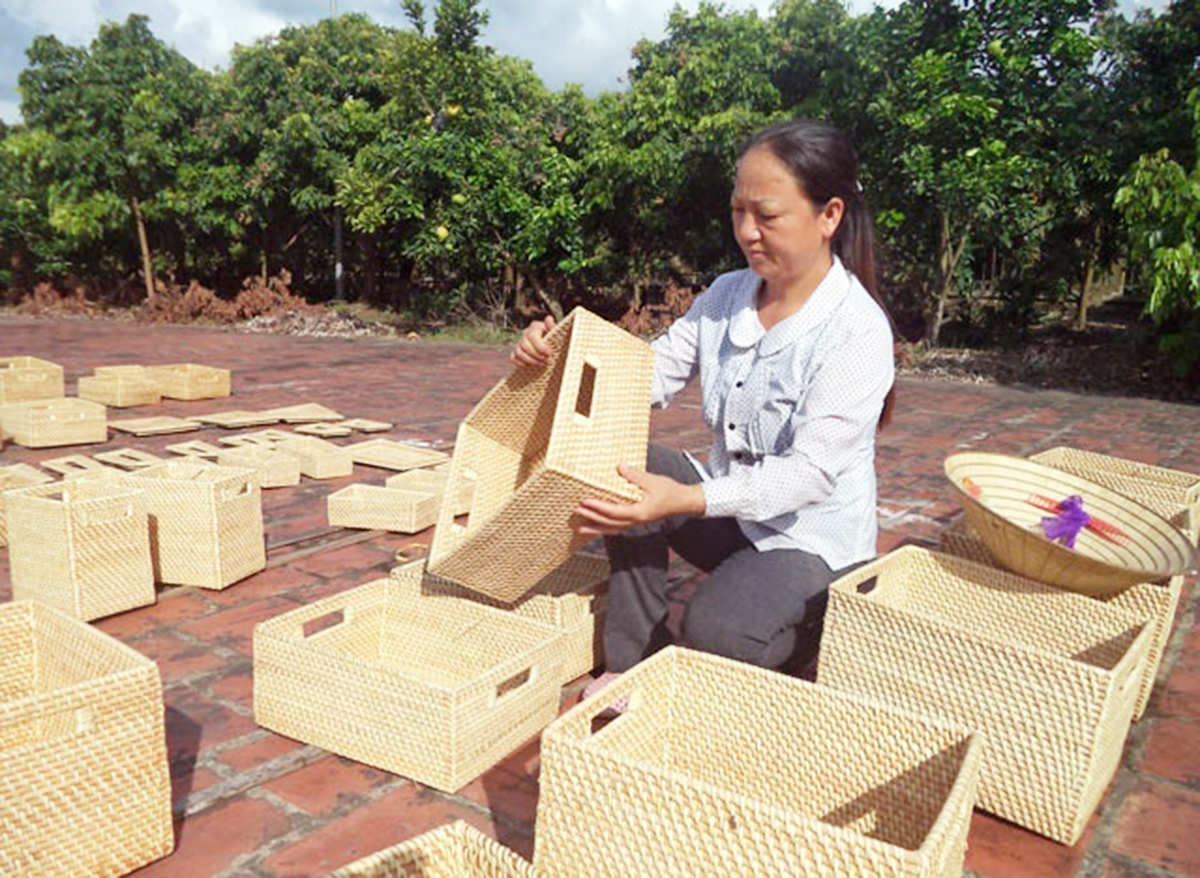 HTX Liên Khê: Nâng chất nhân lực, mở cửa thị trường