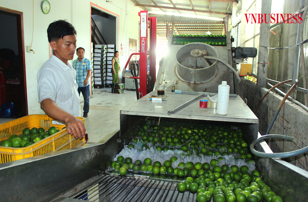 Sao lại 'bỏ rơi' hợp tác xã trong thụ hưởng chính sách Covid-19?