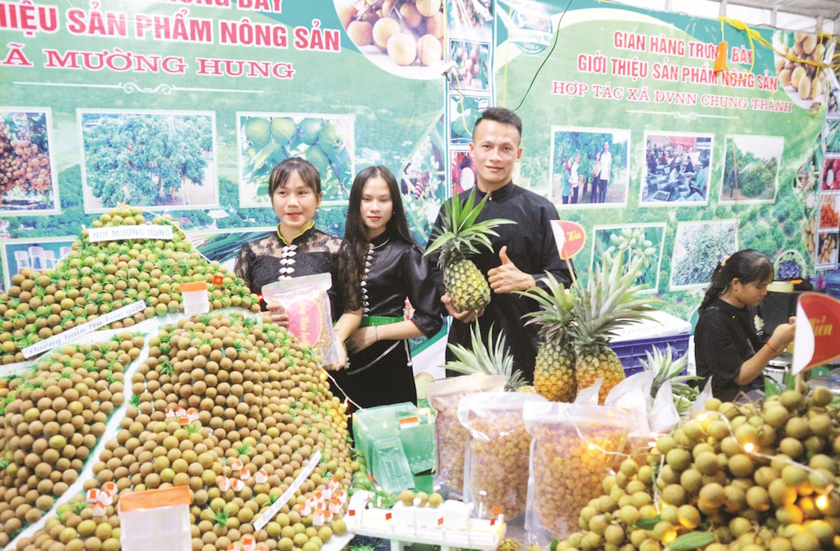 Nông sản Sông Mã 'vươn mình' giữa núi rừng (Bài cuối): Xây dựng chuỗi giá trị gắn với phát triển kinh tế hợp tác