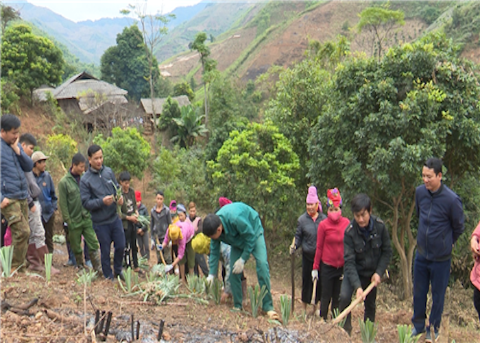 Nông sản Sông Mã 'vươn mình' giữa núi rừng (Bài 1): Trợ lực cho đồng bào dân tộc thiểu số