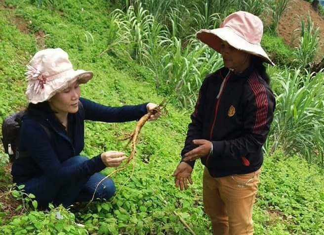 Kinh tế dược liệu và khát vọng vươn lên của người Xê Đăng (Bài cuối): 'Điểm tựa' để phụ nữ nâng vị thế