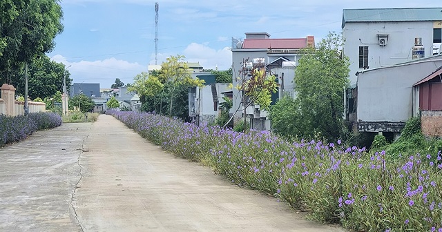 Nho Quan: Toàn dân chung sức xây dựng nông thôn mới