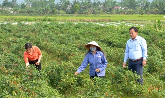 Xuân Lộc chạm đích nông thôn mới