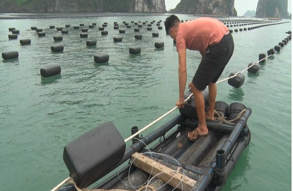 'Đòn bẩy' đào tạo nghề giúp giảm nghèo ở Vân Đồn