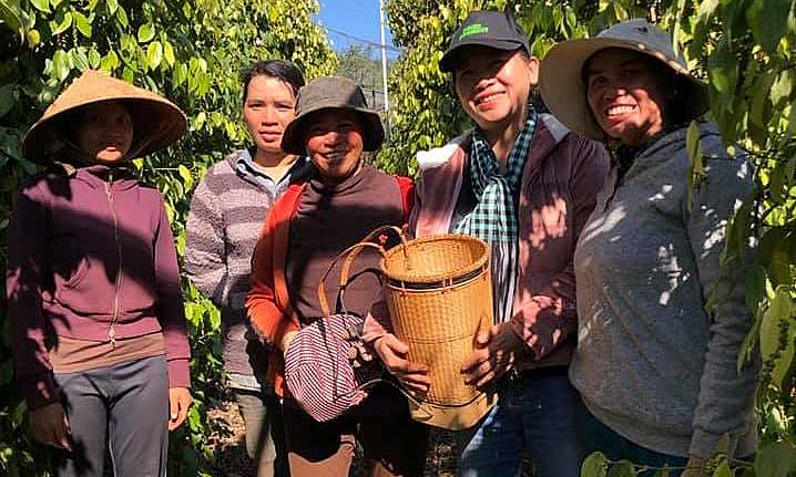 Xóa nghèo trong vùng đồng bào dân tộc thiểu số ở Gia Lai (Bài cuối): Tính chuyện đường dài cho hồ tiêu