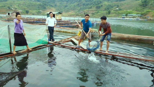 Thanh niên DTTS vùng núi phía Bắc khởi nghiệp từ mô hình HTX (Bài 1): Khát vọng lập thân, lập nghiệp
