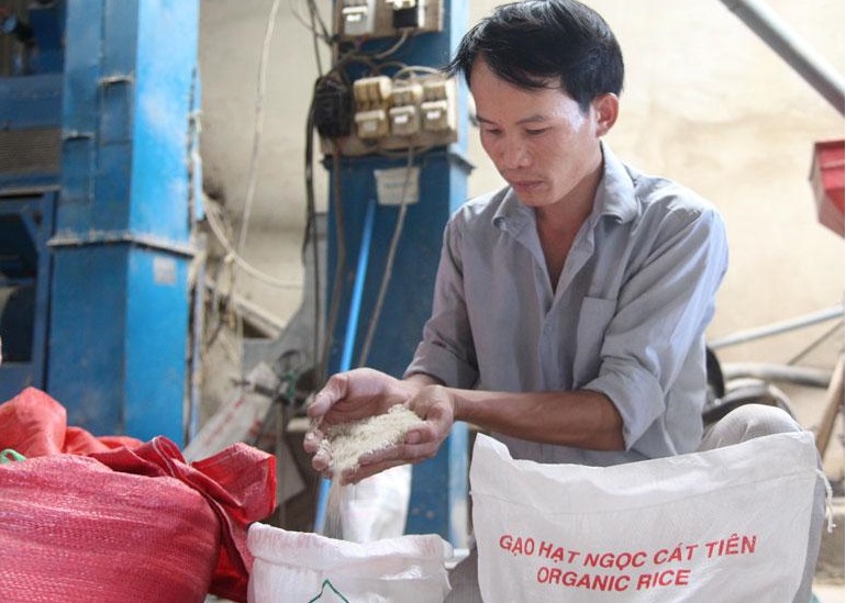 Cát Tiên đẩy mạnh công tác giảm nghèo (Bài cuối): Đồng hành cùng kinh tế hợp tác