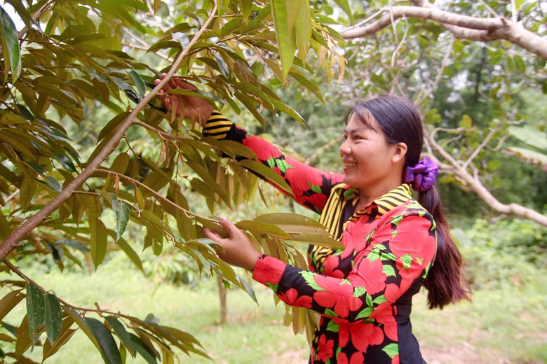 Cát Tiên đẩy mạnh công tác giảm nghèo (Bài 1): Bừng sáng ánh điện văn minh