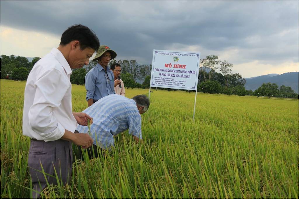 Tánh Linh phát triển sinh kế cho đồng bào dân tộc thiểu số (Bài cuối): Liên kết sản xuất theo chuỗi