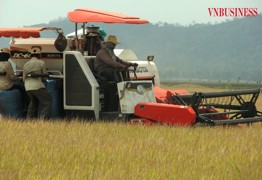 Thấy gì từ vai trò của thương lái trong tiêu thụ nông sản giữa dịch Covid-19?