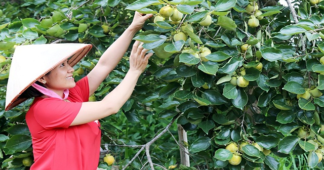 Xã nghèo Bảo Hà và đích đến nông thôn mới không còn xa