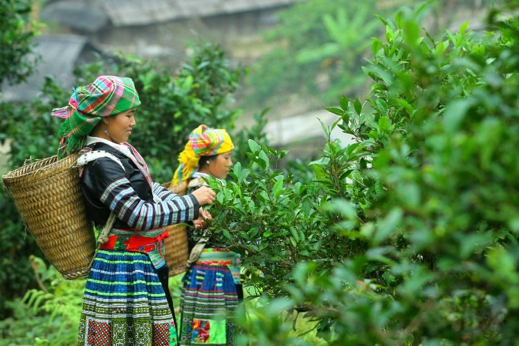 Huyện nghèo Xín Mần khởi sắc nhờ xây dựng nông thôn mới