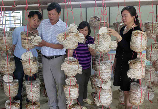 Đồng bào dân tộc Thái ở Nghệ An phát triển kinh tế HTX (Bài cuối): Trợ lực để người dân vươn lên