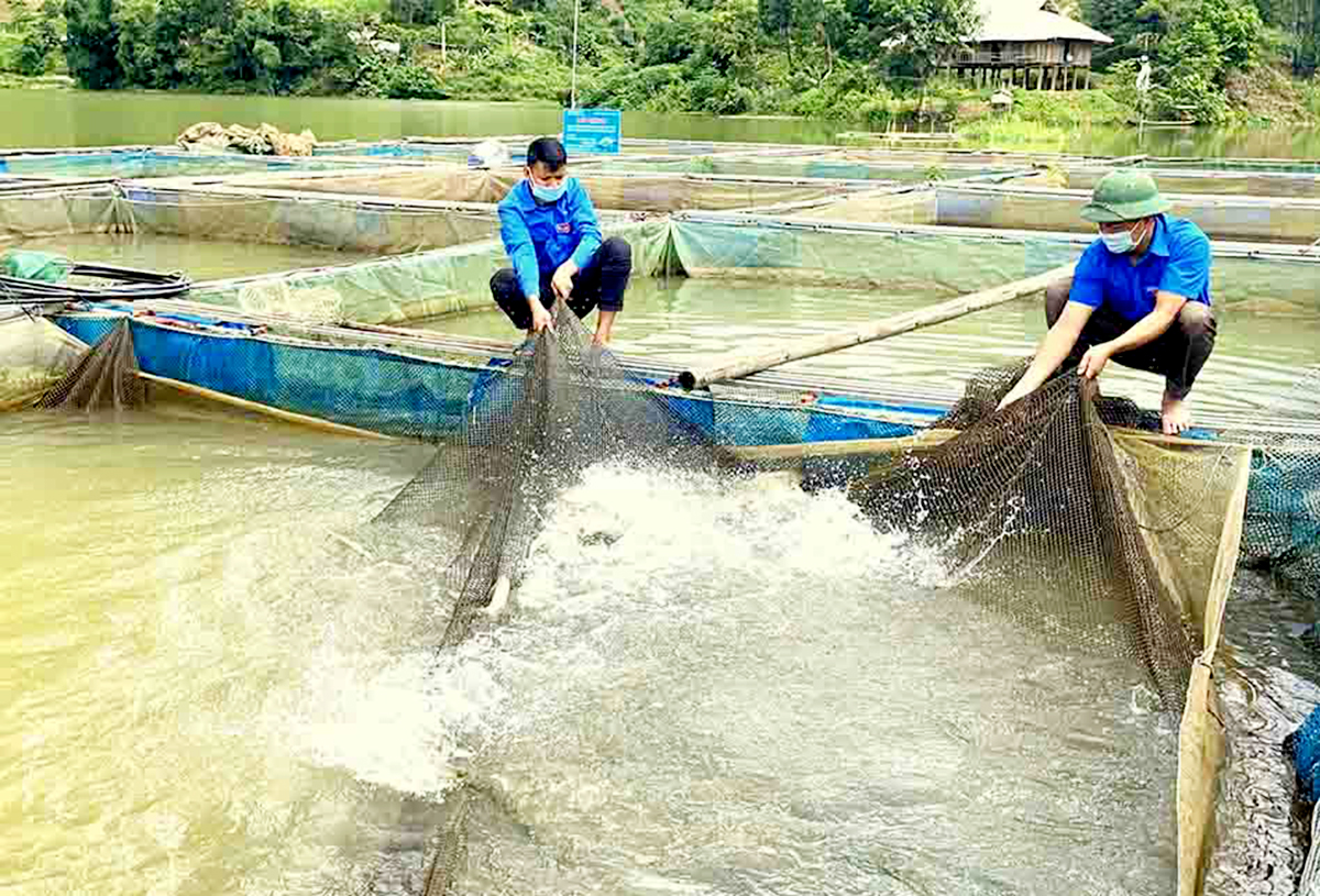 Giảm nghèo ở vùng dân tộc thiểu số huyện Than Uyên (Bài 2): Động lực vươn lên cùng kinh tế hợp tác