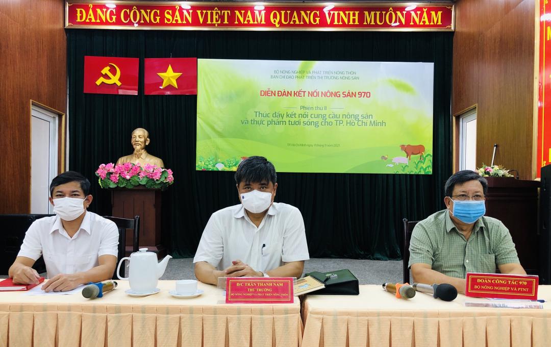 Rau gia vị phía Nam bị ùn ứ bất thường