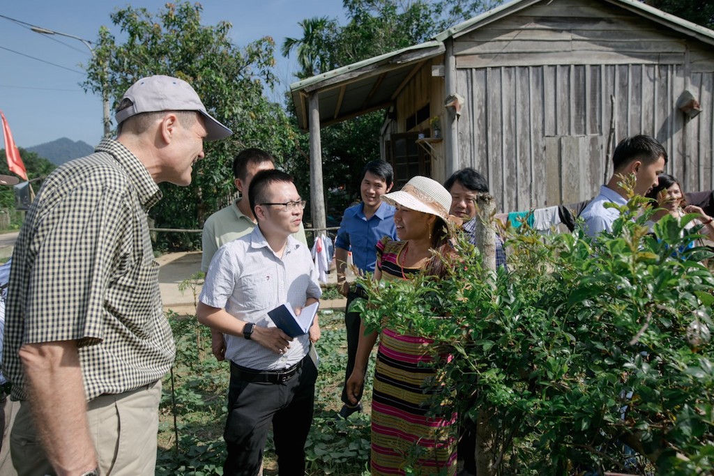Hướng đi mới của người Cơ Tu ở Quảng Nam (Bài 2): Làm nông nghiệp hàng hóa với chè dây Ra Zéh