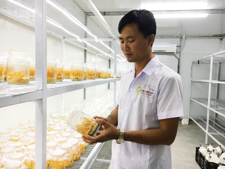 HTX Nấm Tam Đảo: Sản xuất 'xanh' cho sản phẩm sạch