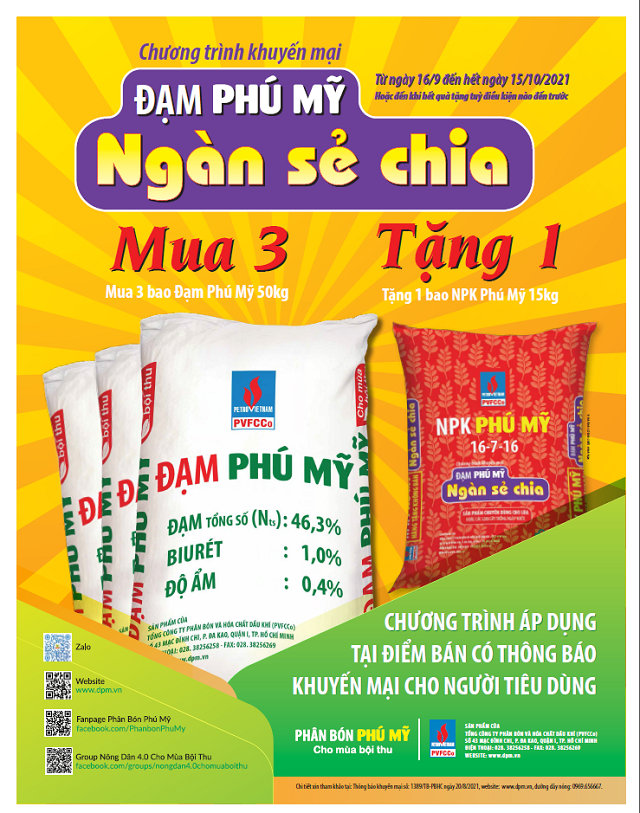 Dam-Phu-My-Ngan-se-chia-3063-1631673532.