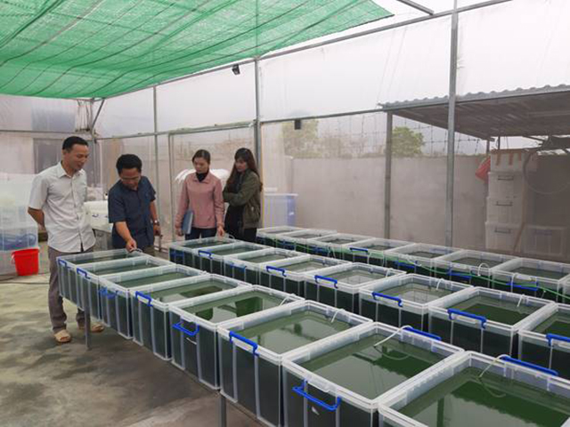 Ninh Bình hỗ trợ chuyển đổi số trong các HTX nông nghiệp