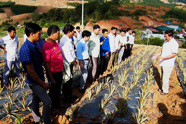 Người truyền cảm hứng làm giàu từ mô hình kinh tế HTX