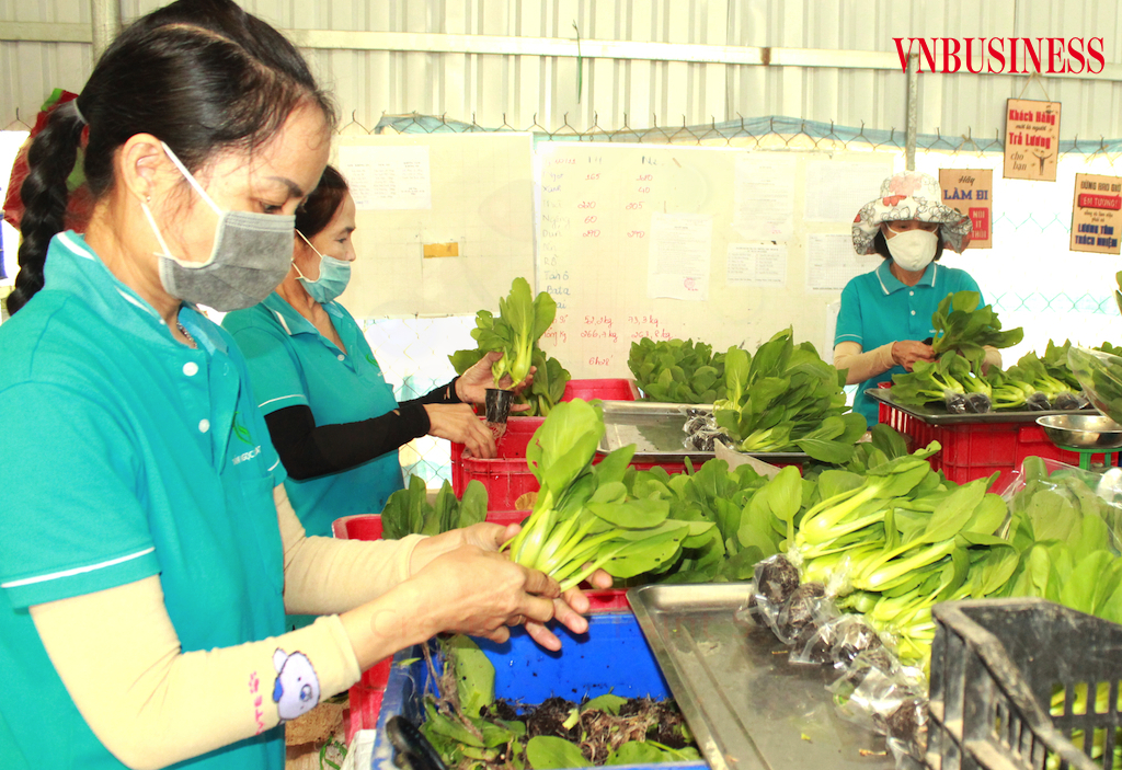 Chờ thêm chính sách hỗ trợ tiêu thụ nông sản giữa đại dịch