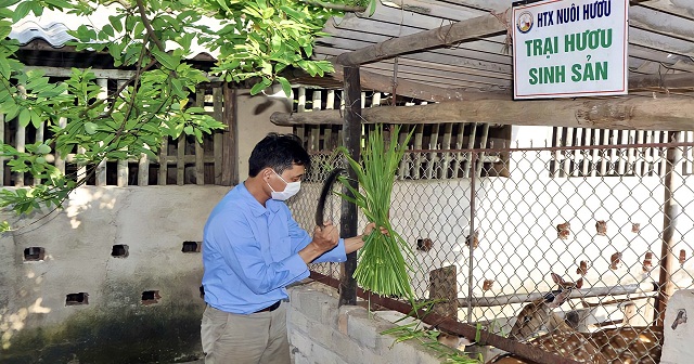 Làm giàu nhờ nuôi con ‘đại bổ’ theo chuỗi an toàn trên đất núi
