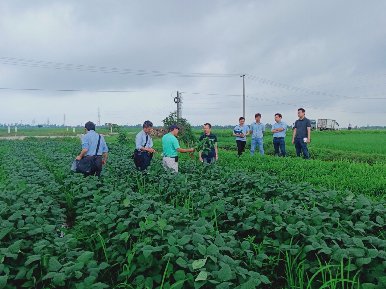Giám đốc HTX giỏi việc tập thể, đảm việc nhà