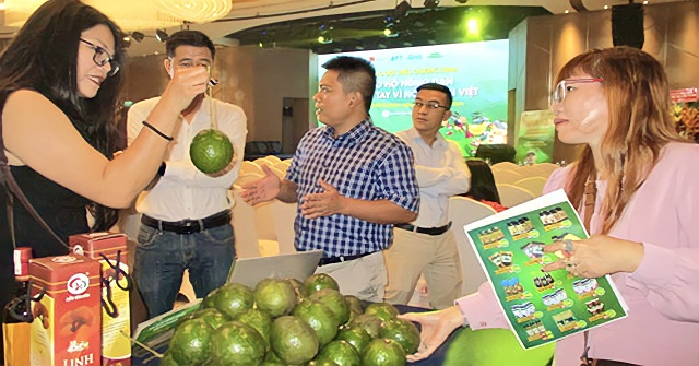 HTX Đắk Lắk: Trồng bơ hữu cơ mở đường bước vào 'sân chơi' cao cấp