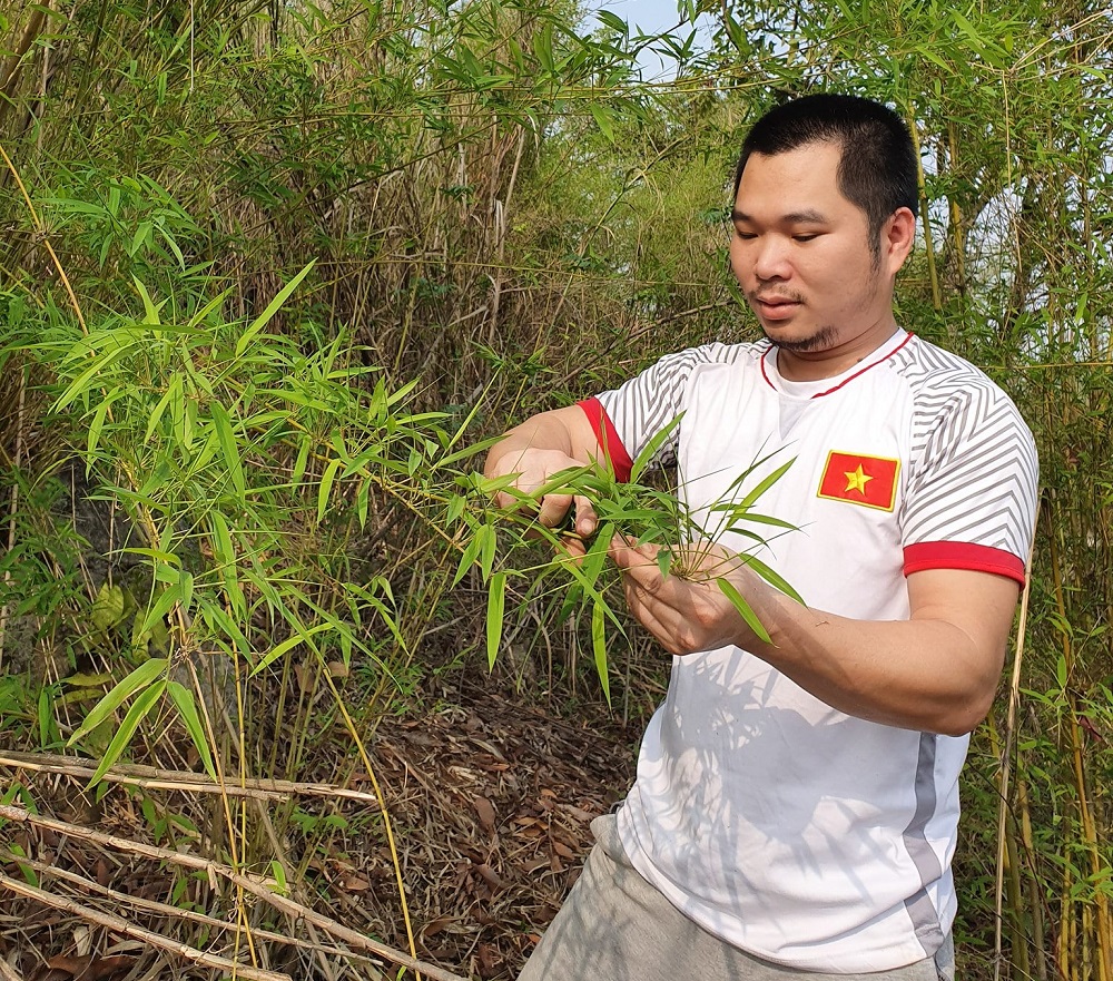 HTX 'đón sóng' trào lưu sử dụng ống hút tre thân thiện môi trường