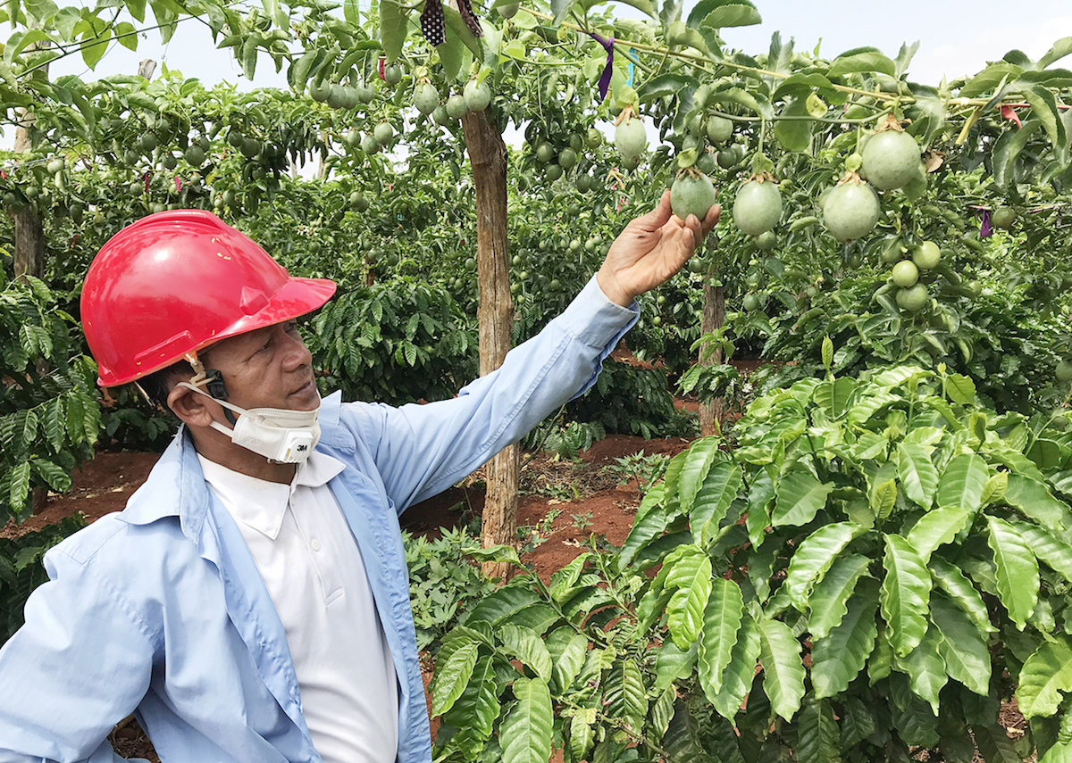 Nghịch lý 'ế đồng, đắt chợ' của nông sản Việt