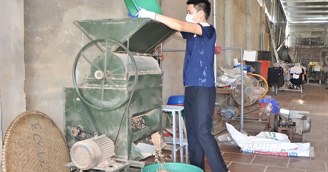 Chế biến dầu lạc theo chuỗi giá trị ở HTX Quang Hà