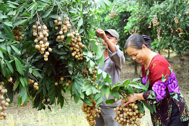 San-pham-nhan-chinh-muon-cua-H-1223-6427