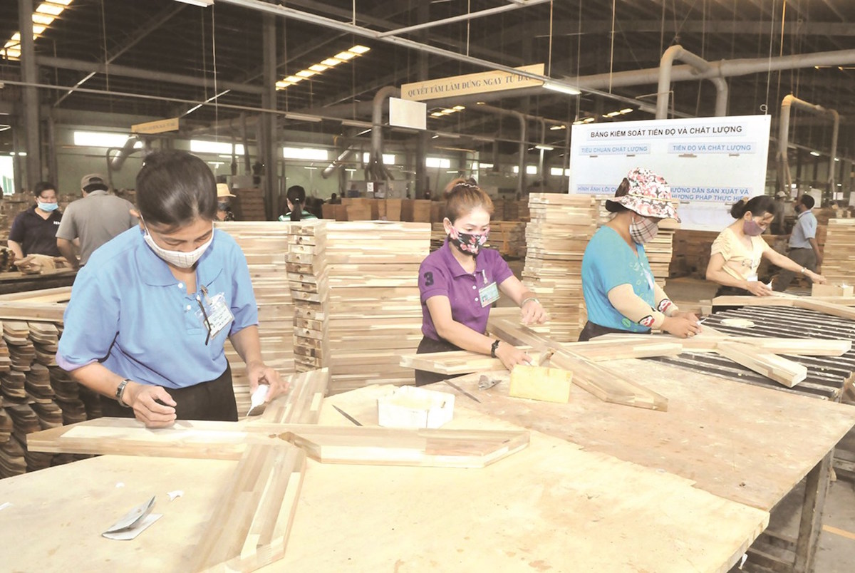 Từ tin vui của ngành gỗ, Hoa Kỳ lấy Việt Nam là hình mẫu mới cho quan hệ thương mại bền vững