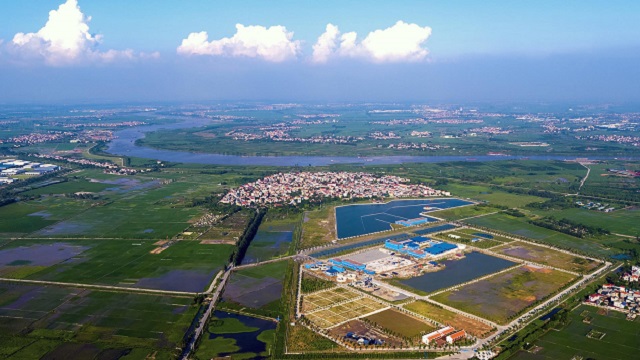 Đằng sau câu chuyện doanh nghiệp của Shark Liên bị đối tác Thái Lan kiện