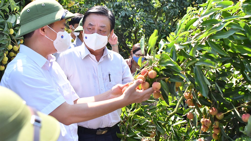 'Cú hích' chính sách cho hợp tác xã nông nghiệp đột phá