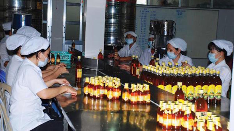 Ngành mật ong 'nín thở' chờ quyết định tác động tới 95% sản lượng xuất khẩu