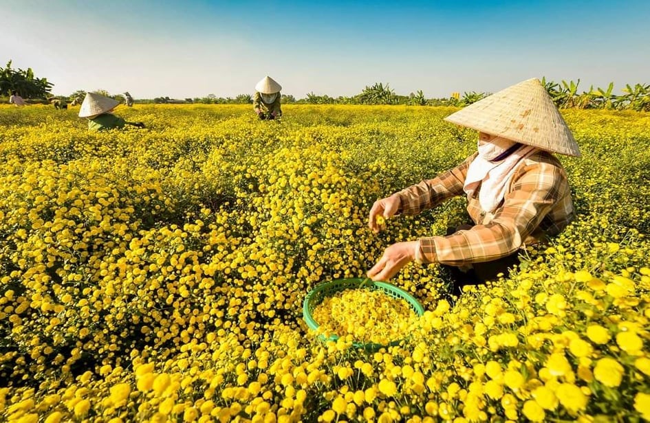 Để hợp tác xã là nền tảng vững chắc cho 'tam nông'