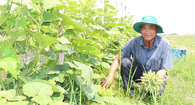 Động lực để Thoại Sơn về đích huyện nông thôn mới nâng cao